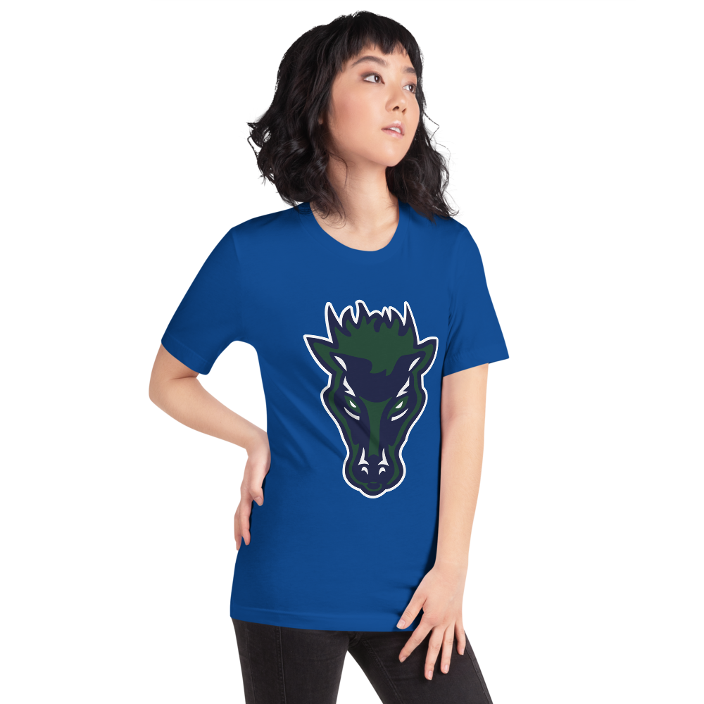 Damonte Ranch High School Design 1 — True Royal