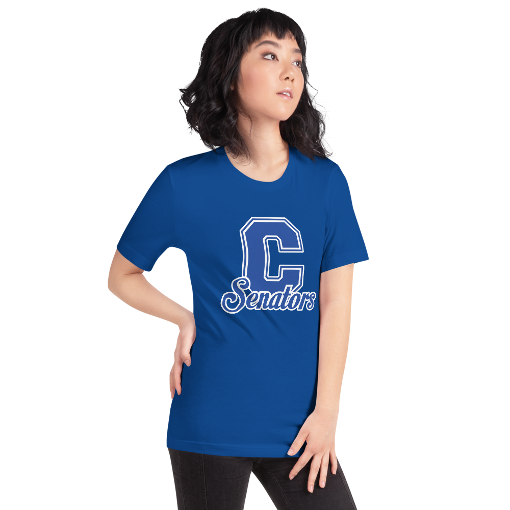 Carson High School Design 1 — True Royal