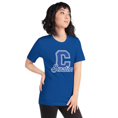 Carson High School Design 1 — True Royal