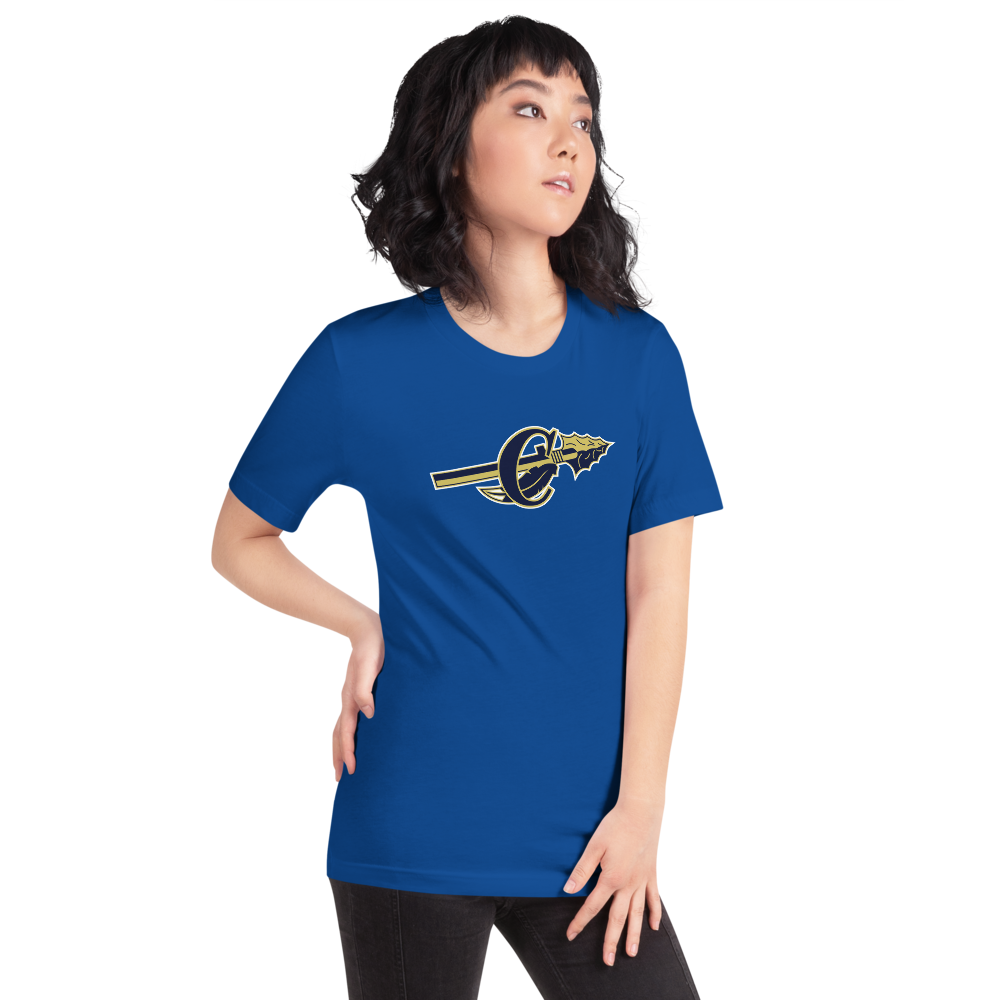 Cheyenne High School Design 1 — True Royal