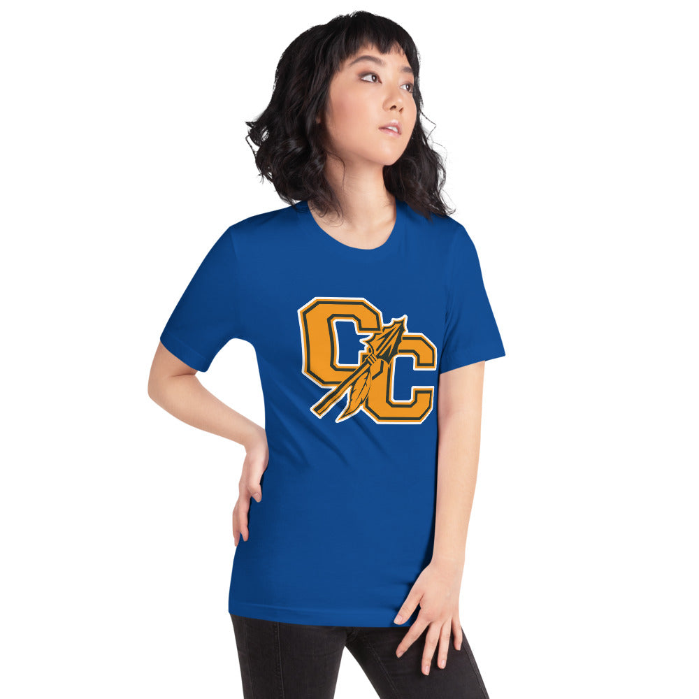 Cherokee County HIgh School Design 1 — True Royal