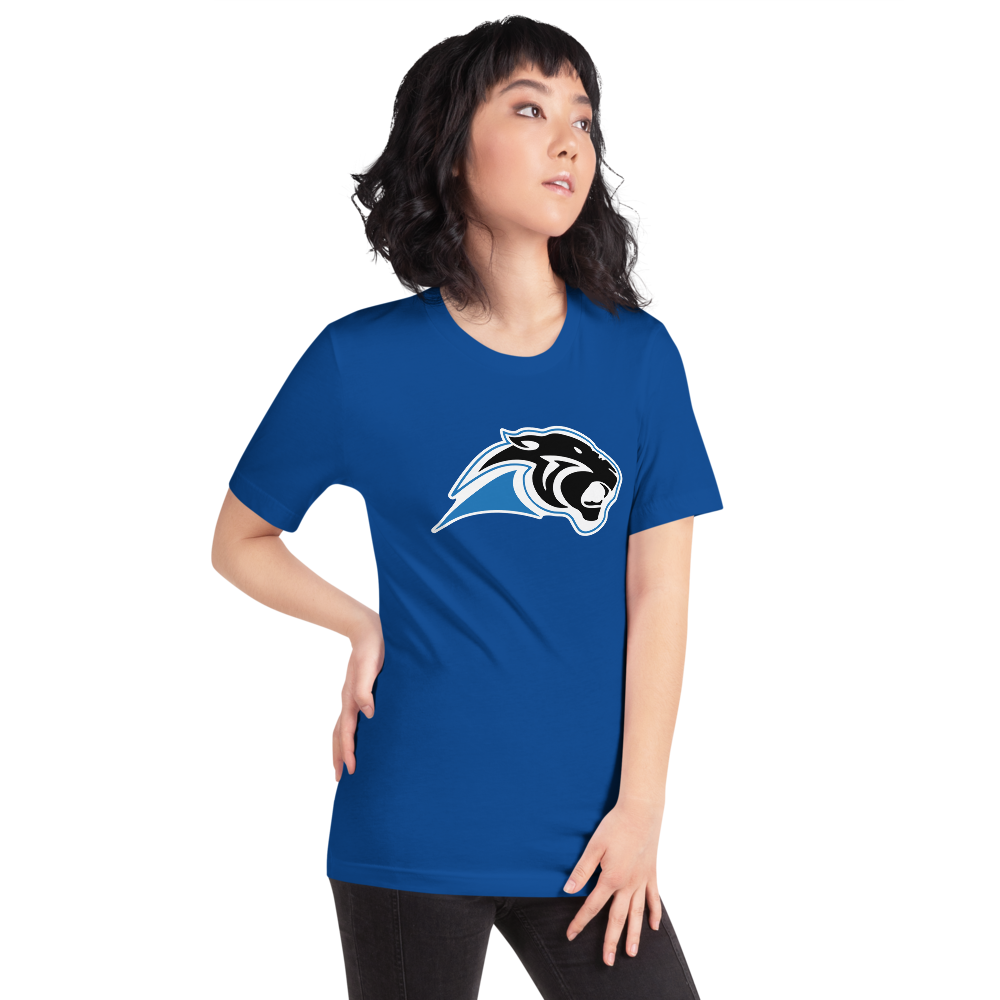 Pahranagat Valley High School Design 1 — True Royal