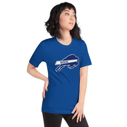 North Sand Mountain High School Design 1 — True Royal