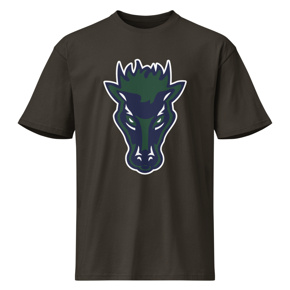 Damonte Ranch High School Design 1 — Vintage Black