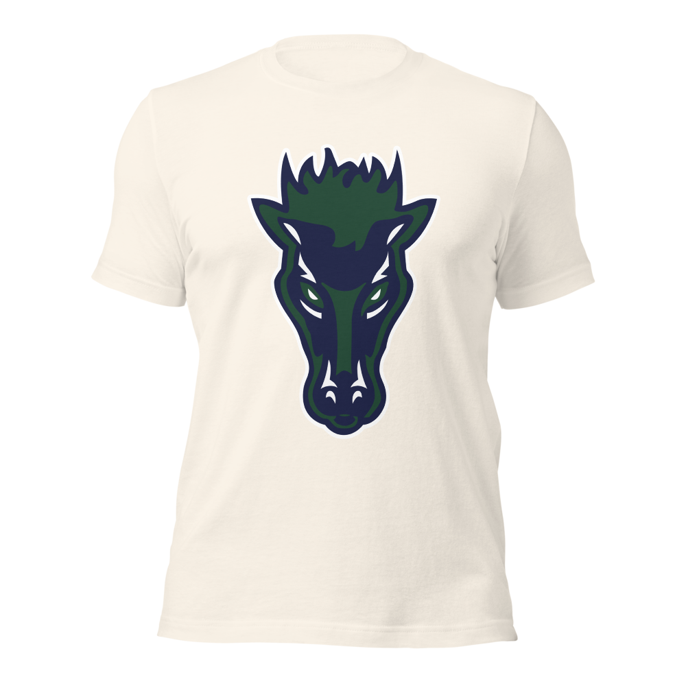 Damonte Ranch High School Design 1 — Vintage White