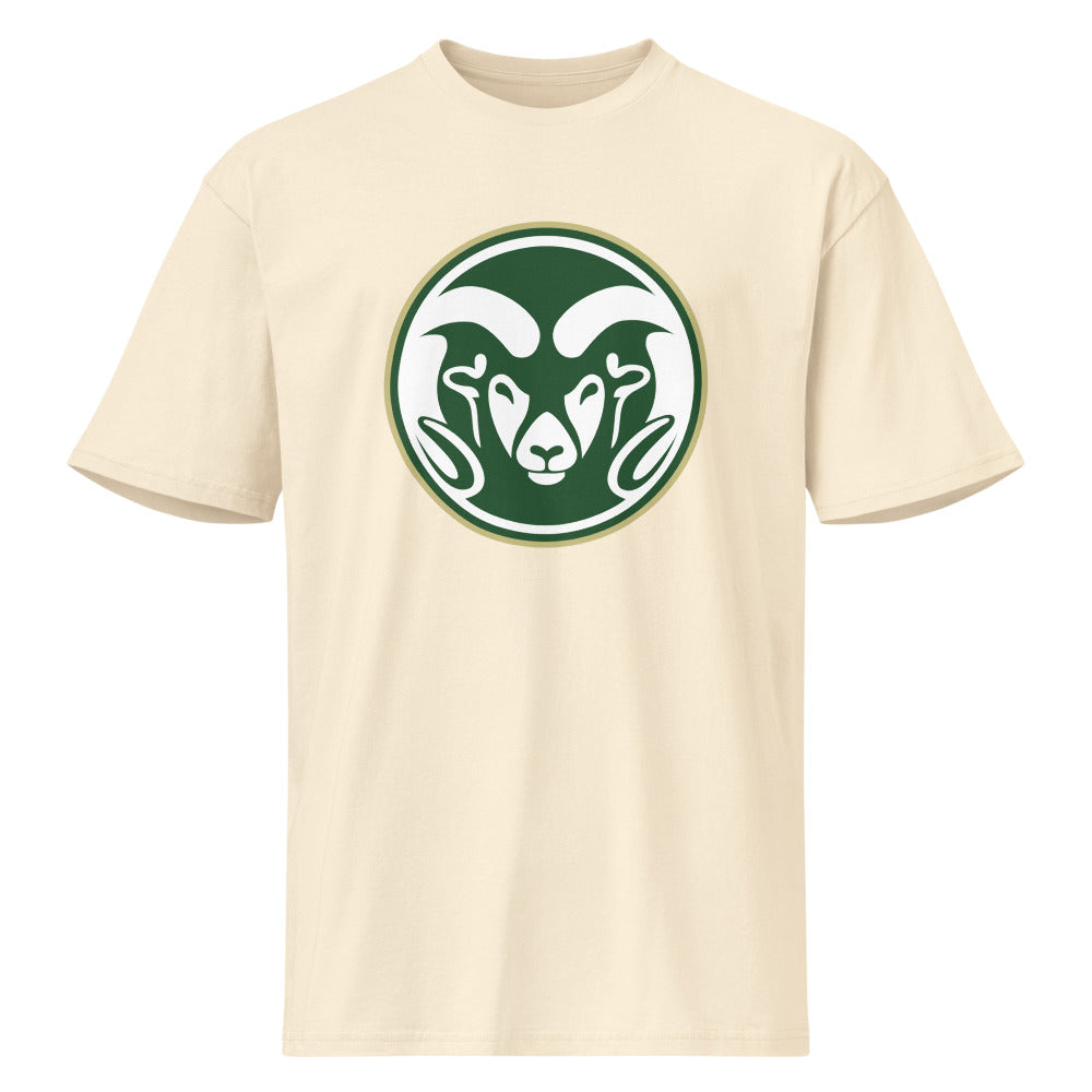 Sylvania High School Design 1 — Vintage White