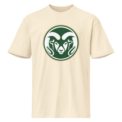 Sylvania High School Design 1 — Vintage White
