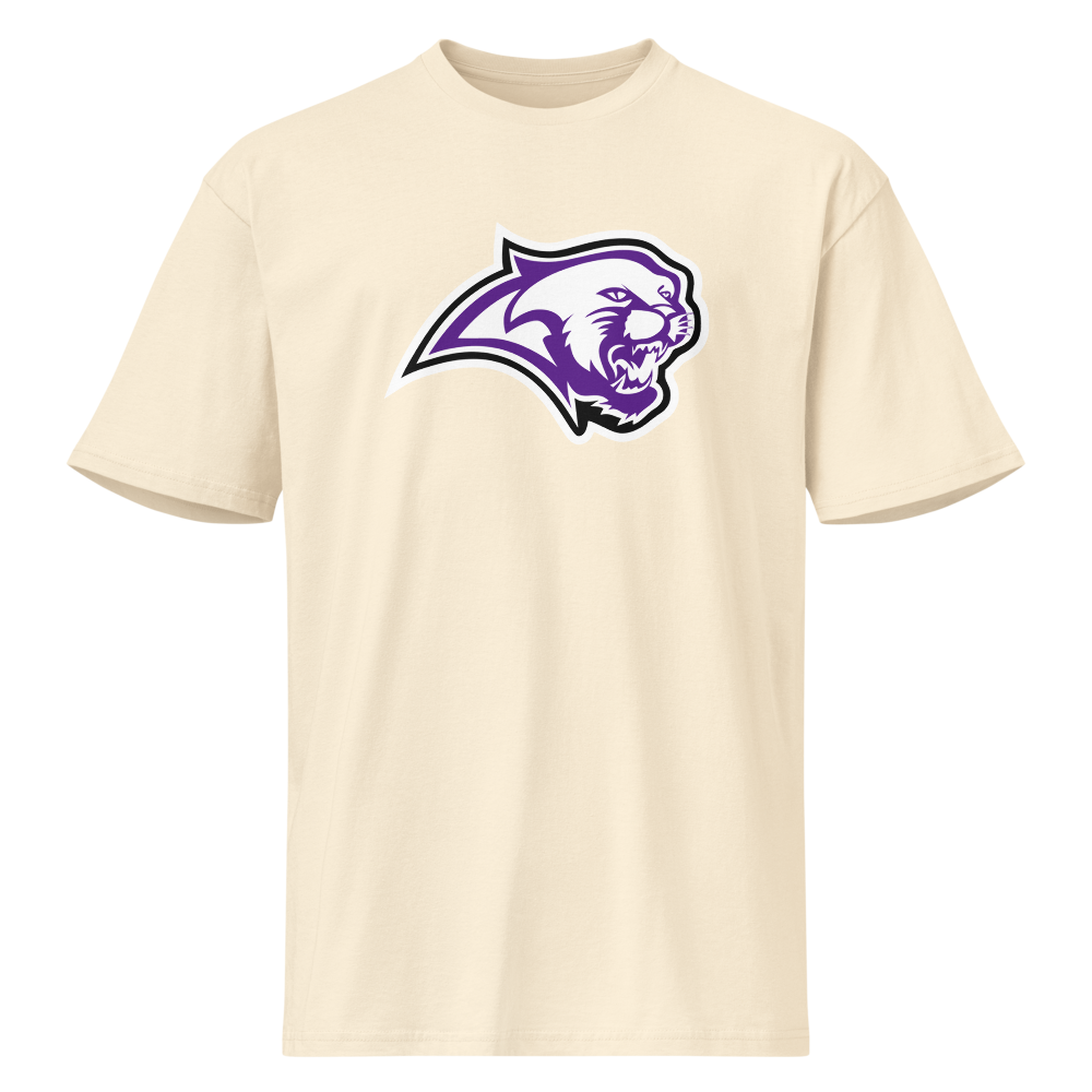 Spanish Springs High School Design 1 — Vintage White