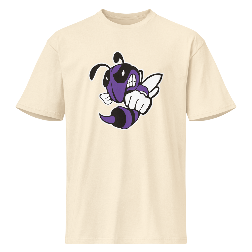 Box Elder High School Design 1 — Vintage White