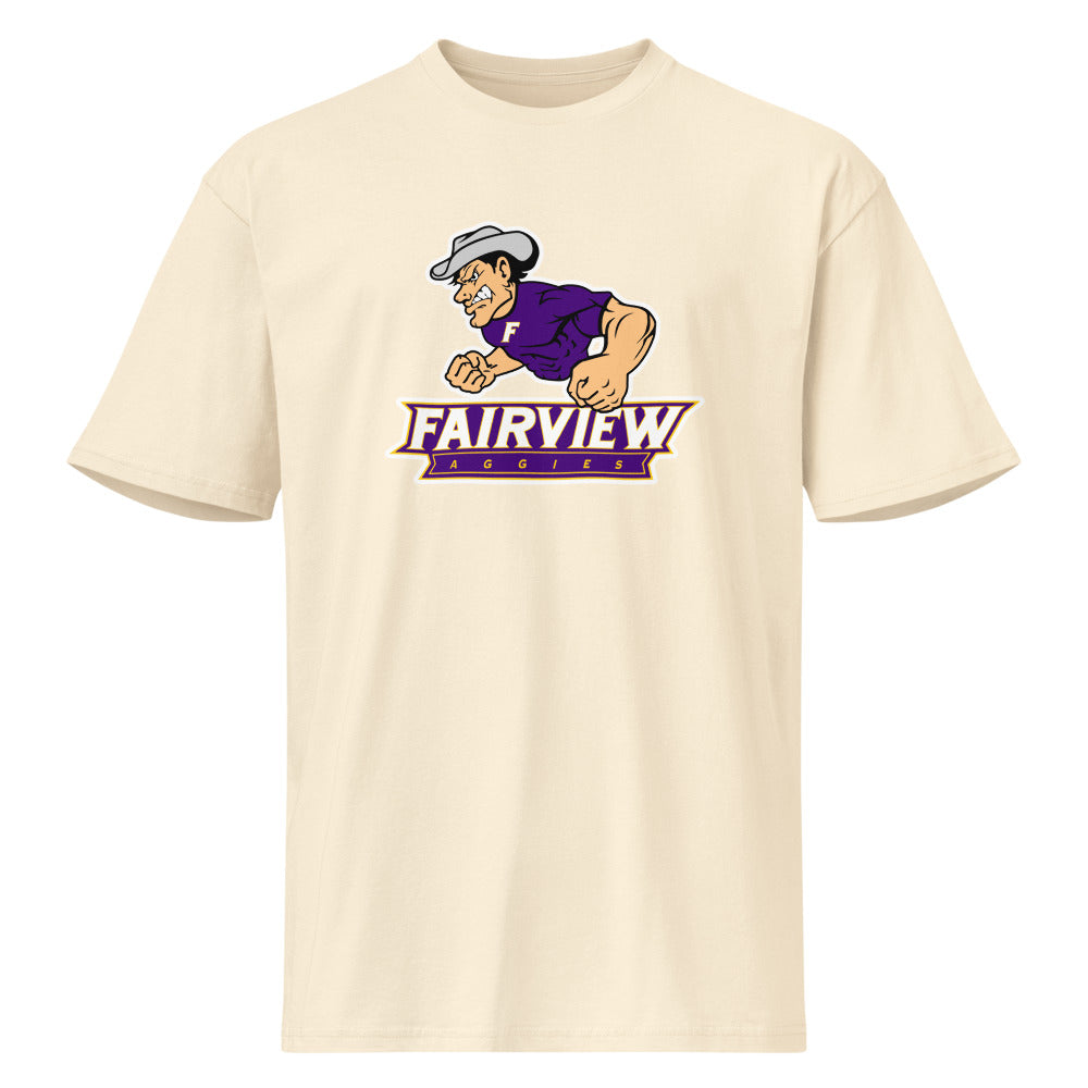 Fairview High School Design 1 — Vintage White