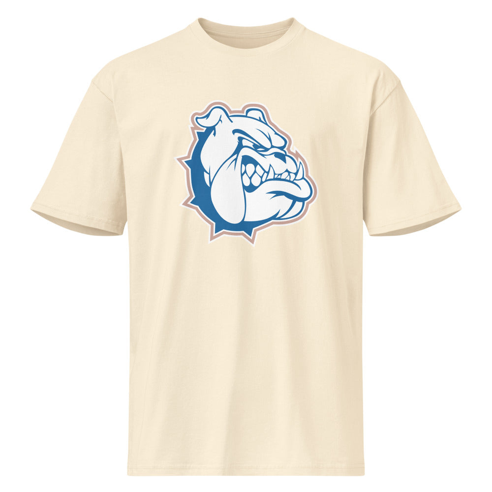 Addison High School Design 1 — Vintage White