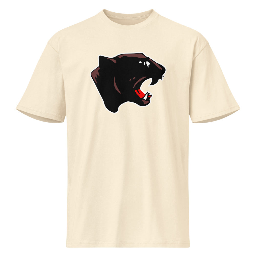 Collinsville High School Design 1 — Vintage White