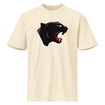Collinsville High School Design 1 — Vintage White