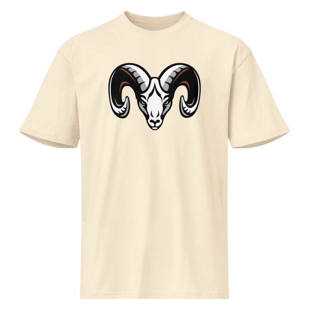Faith Academy Design 1 — Vintage White