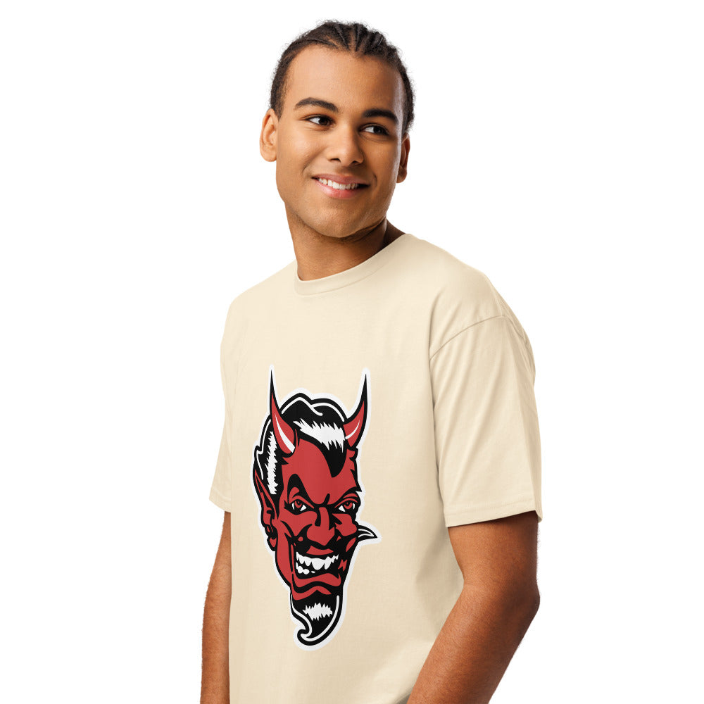 Fyffe High School Design 1 — Vintage White