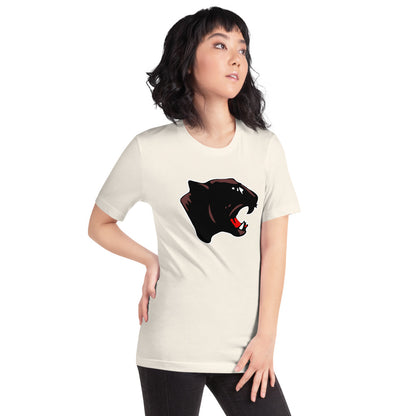 Collinsville High School Design 1 — Vintage White