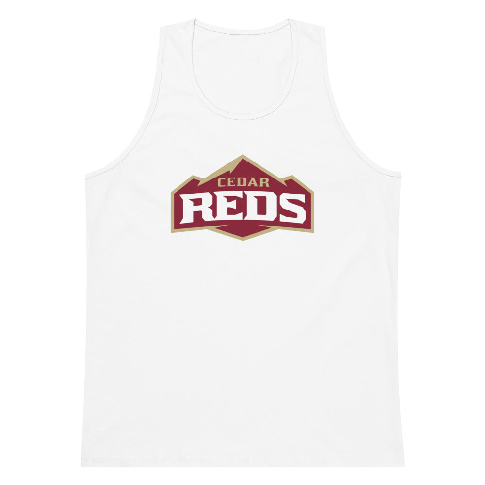 Cedar High School Design 1 — White