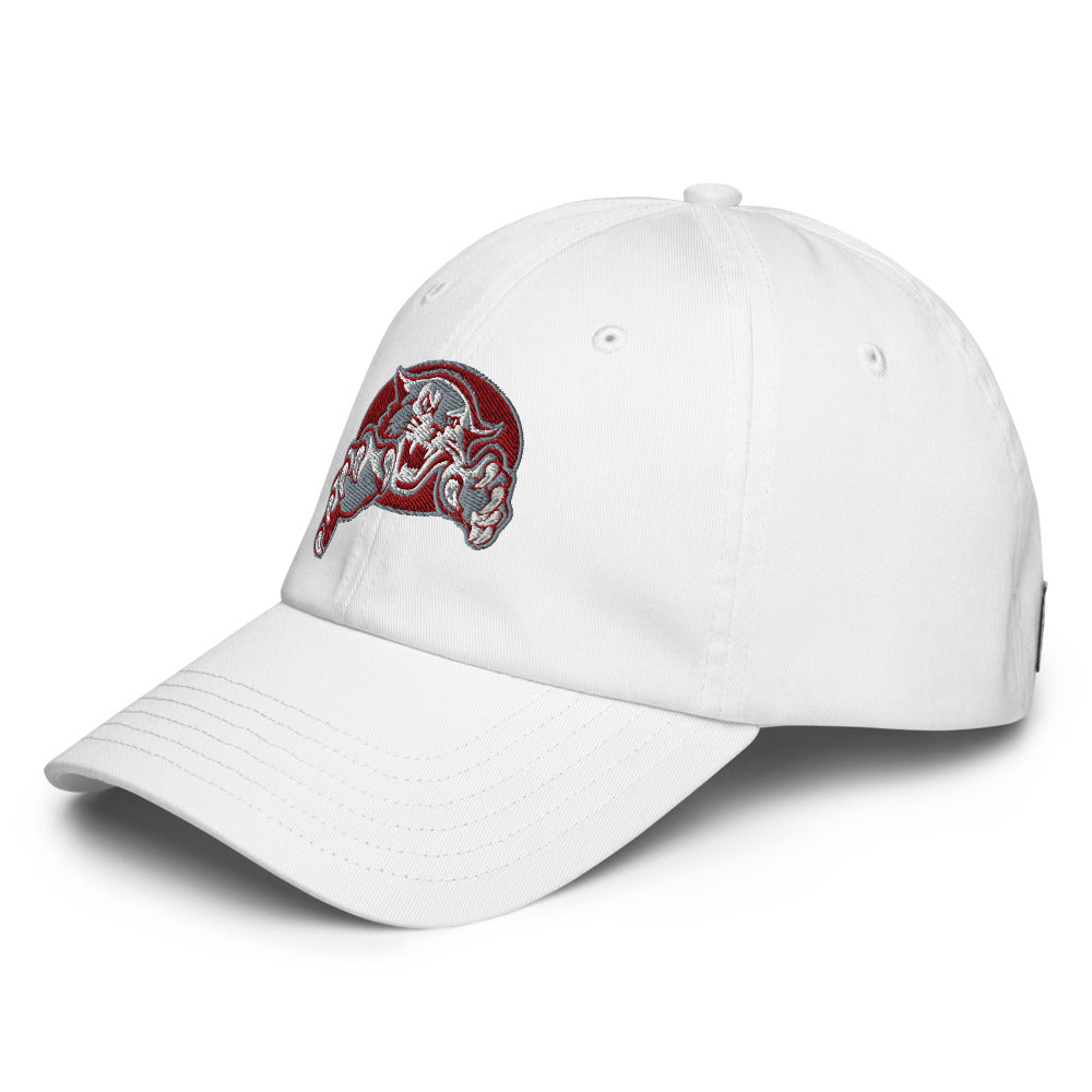 Shelby County High School Design 1 — White