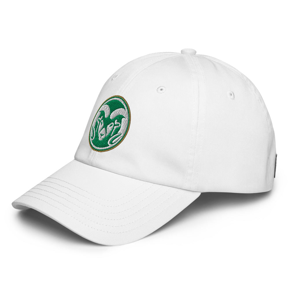 Sylvania High School Design 1 — White