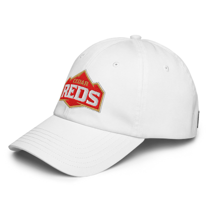 Cedar High School Design 1 — White