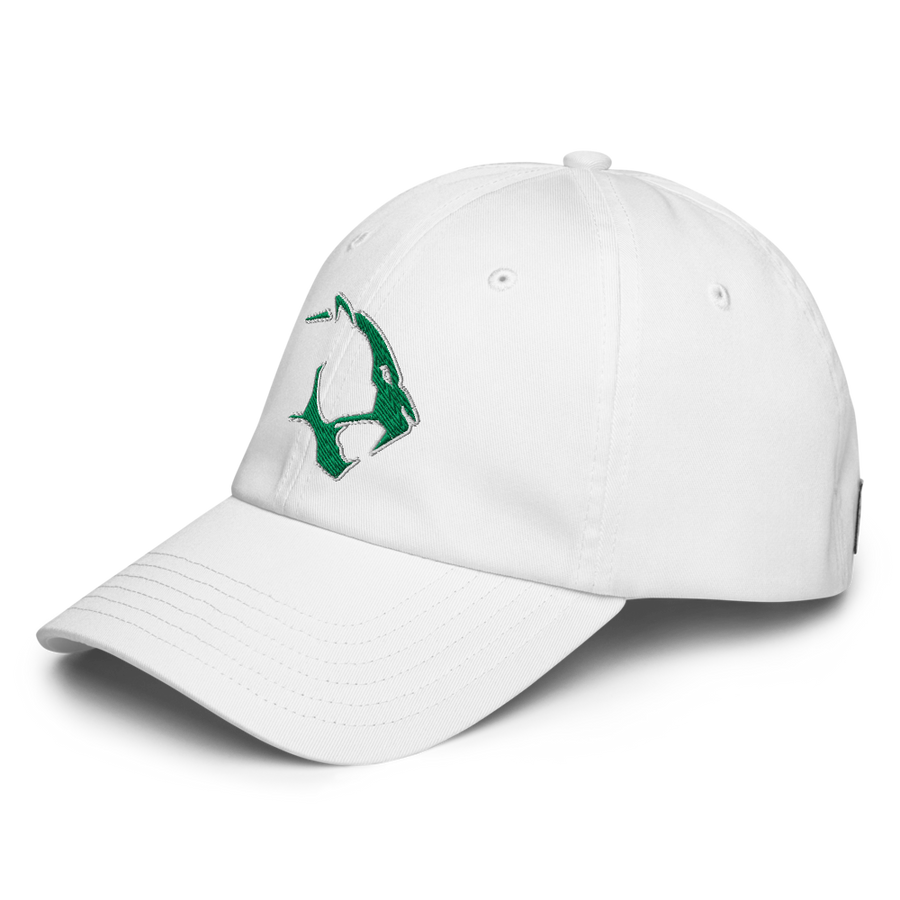 Under Armour Dad Hat