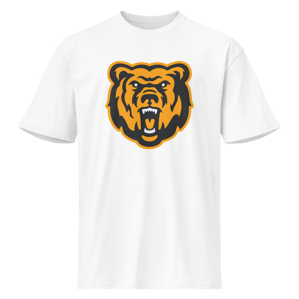 Leroy High School Design 1 — White