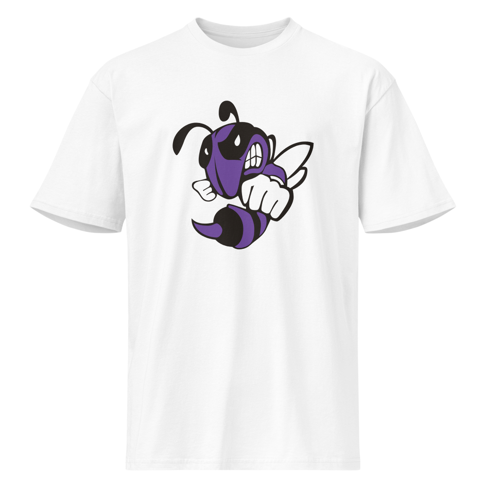 Box Elder High School Design 1 — White