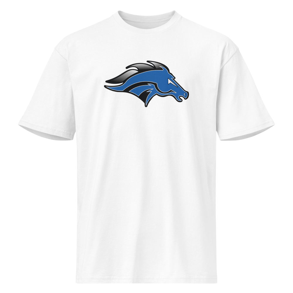 Stansbury High School Design 1 — White