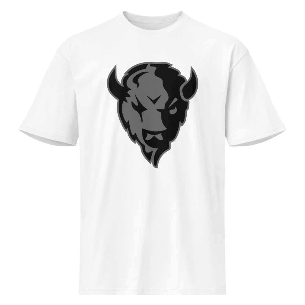 Tooele High School Design 1 — White
