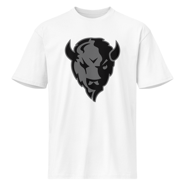Tooele High School Design 1 — White