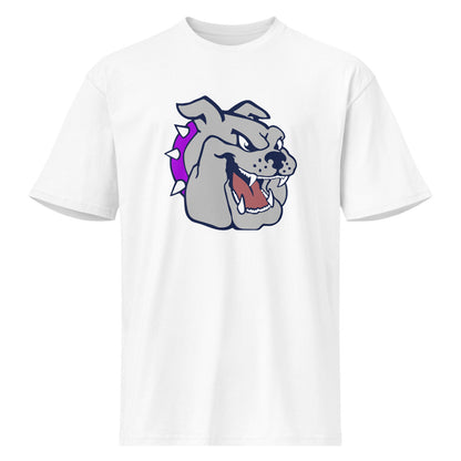 Sheffield High School Design 1 — White