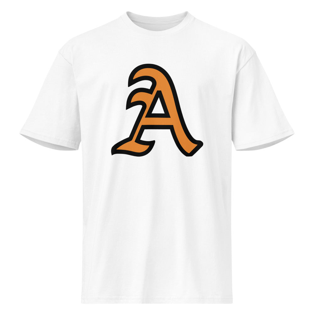 Alexandria High School Design 1 — White