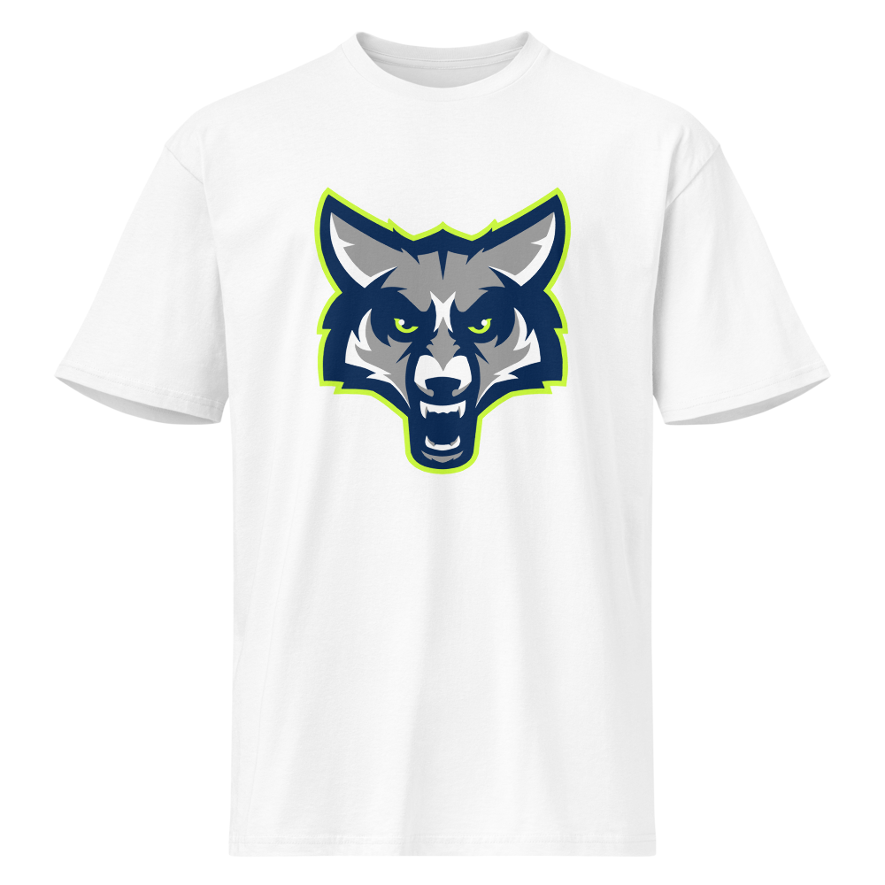 Timpanogos High School Design 1 — White