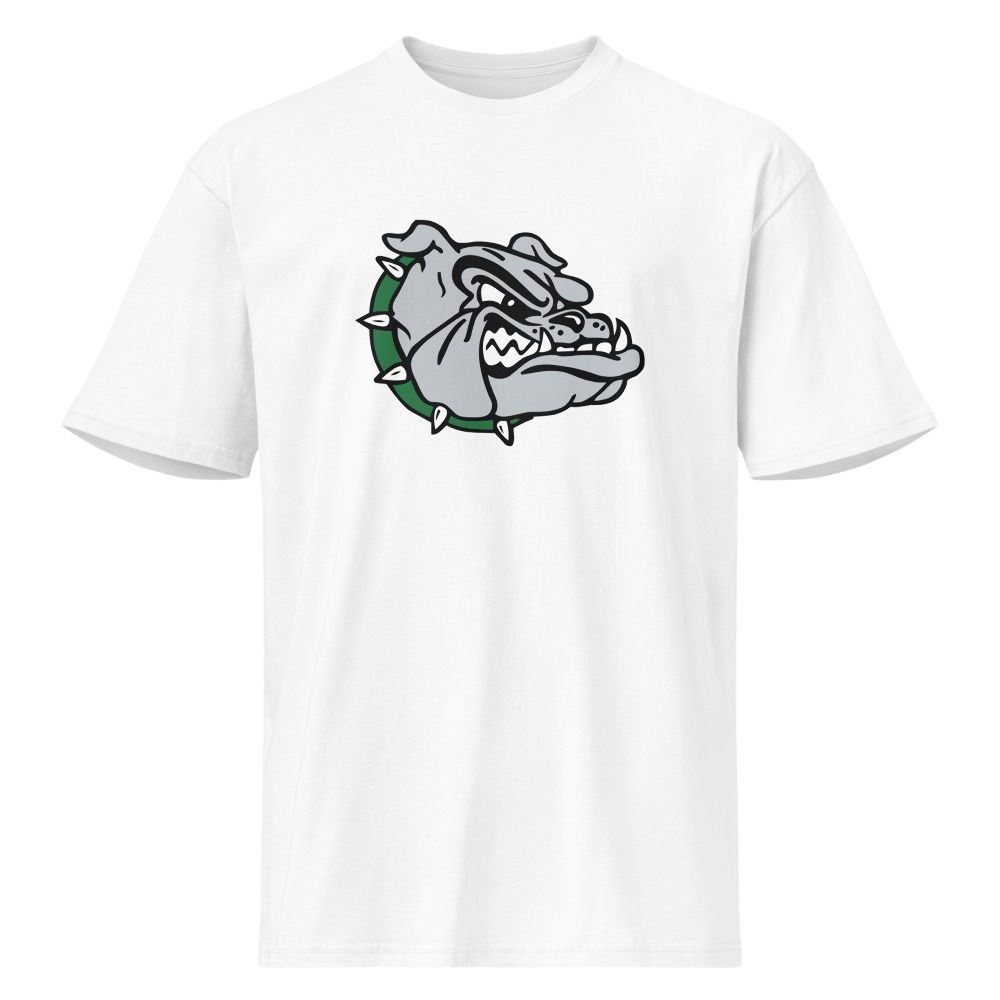 Virgin Valley High School Design 1 — White