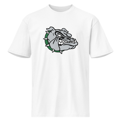 Virgin Valley High School Design 1 — White