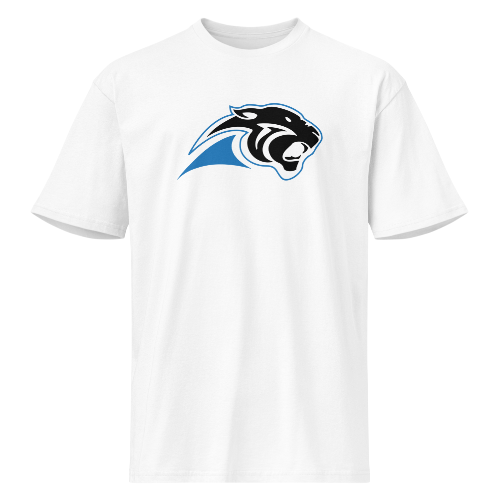 Pahranagat Valley High School Design 1 — White