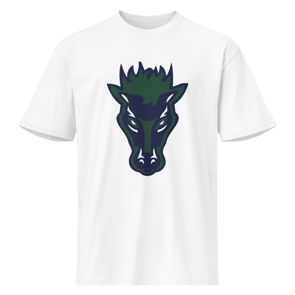 Damonte Ranch High School Design 1 — White