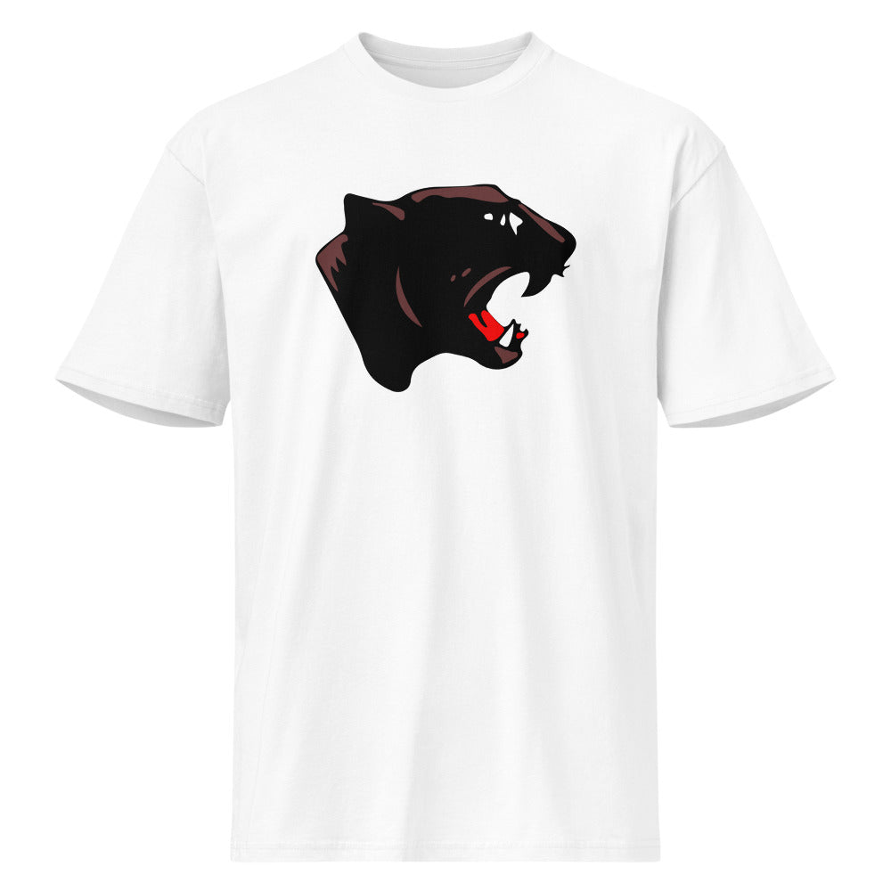 Collinsville High School Design 1 — White