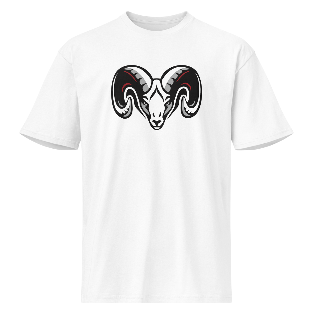 South Sevier High School Design 1 — White