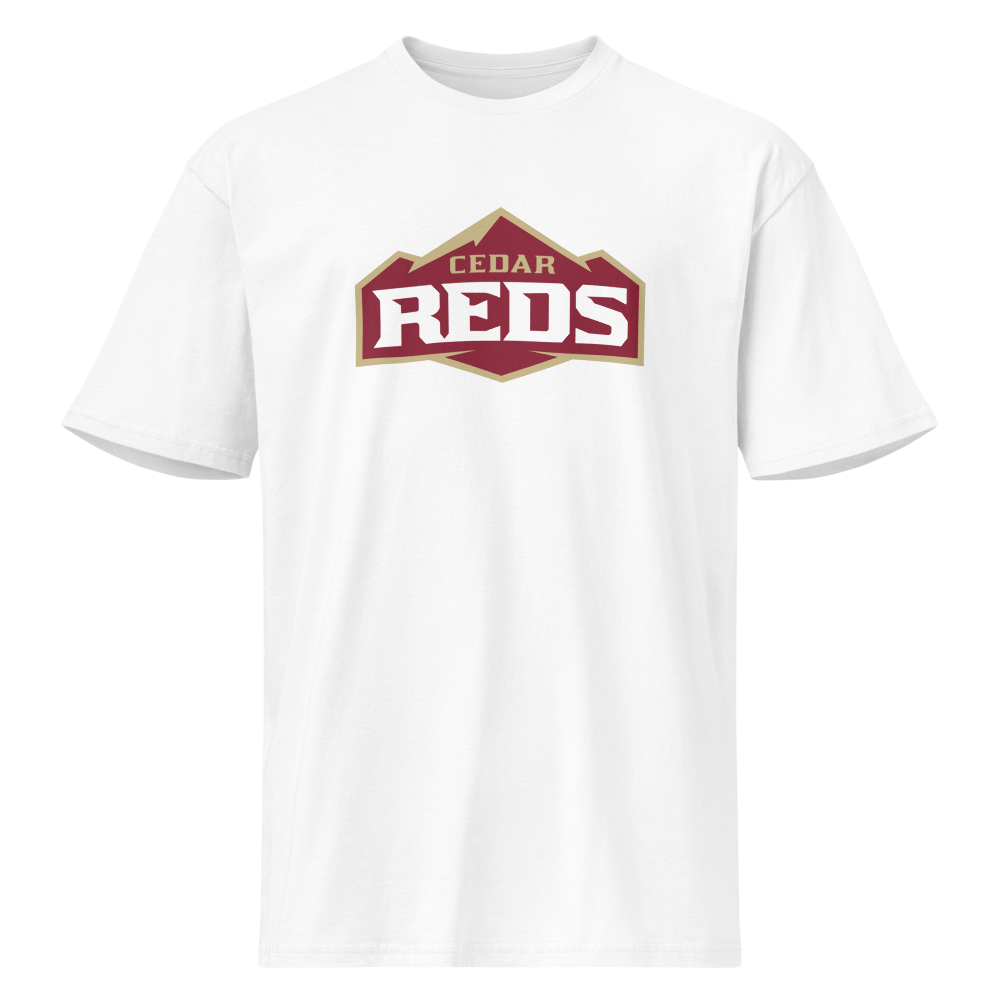 Cedar High School Design 1 — White