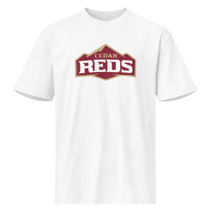Cedar High School Design 1 — White