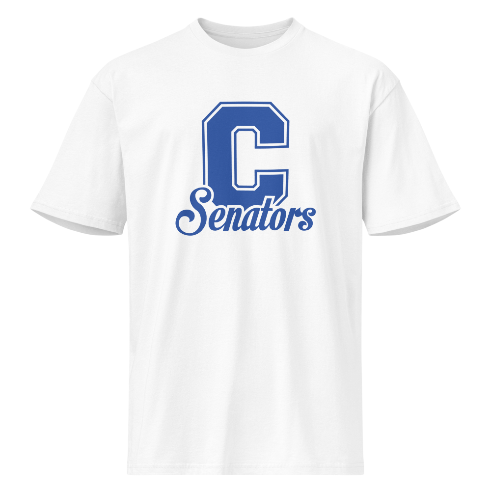 Carson High School Design 1 — White