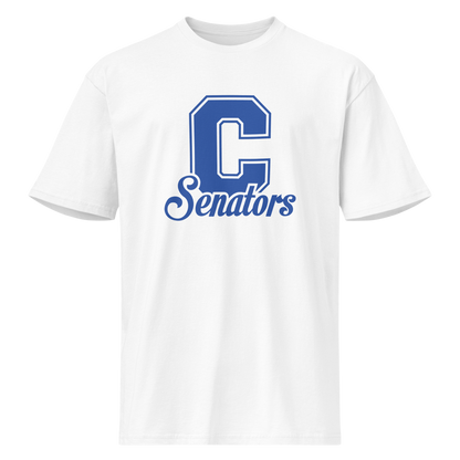 Carson High School Design 1 — White