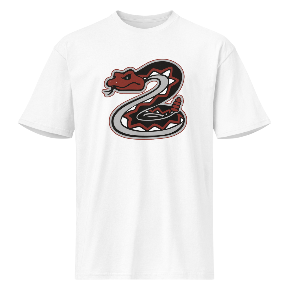 Desert Oasis High School Design 1 — White