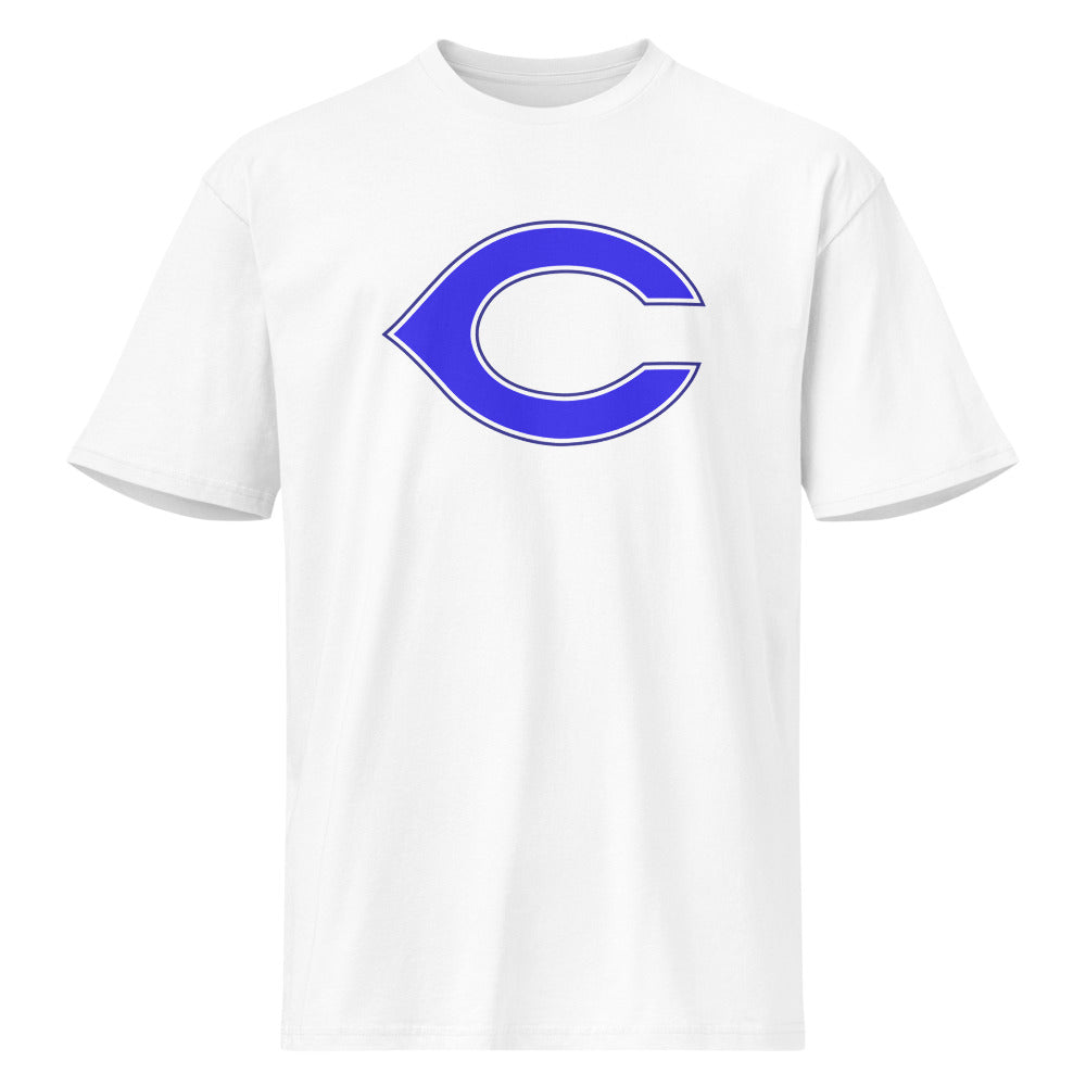 Childersburg High School Design 1 — White