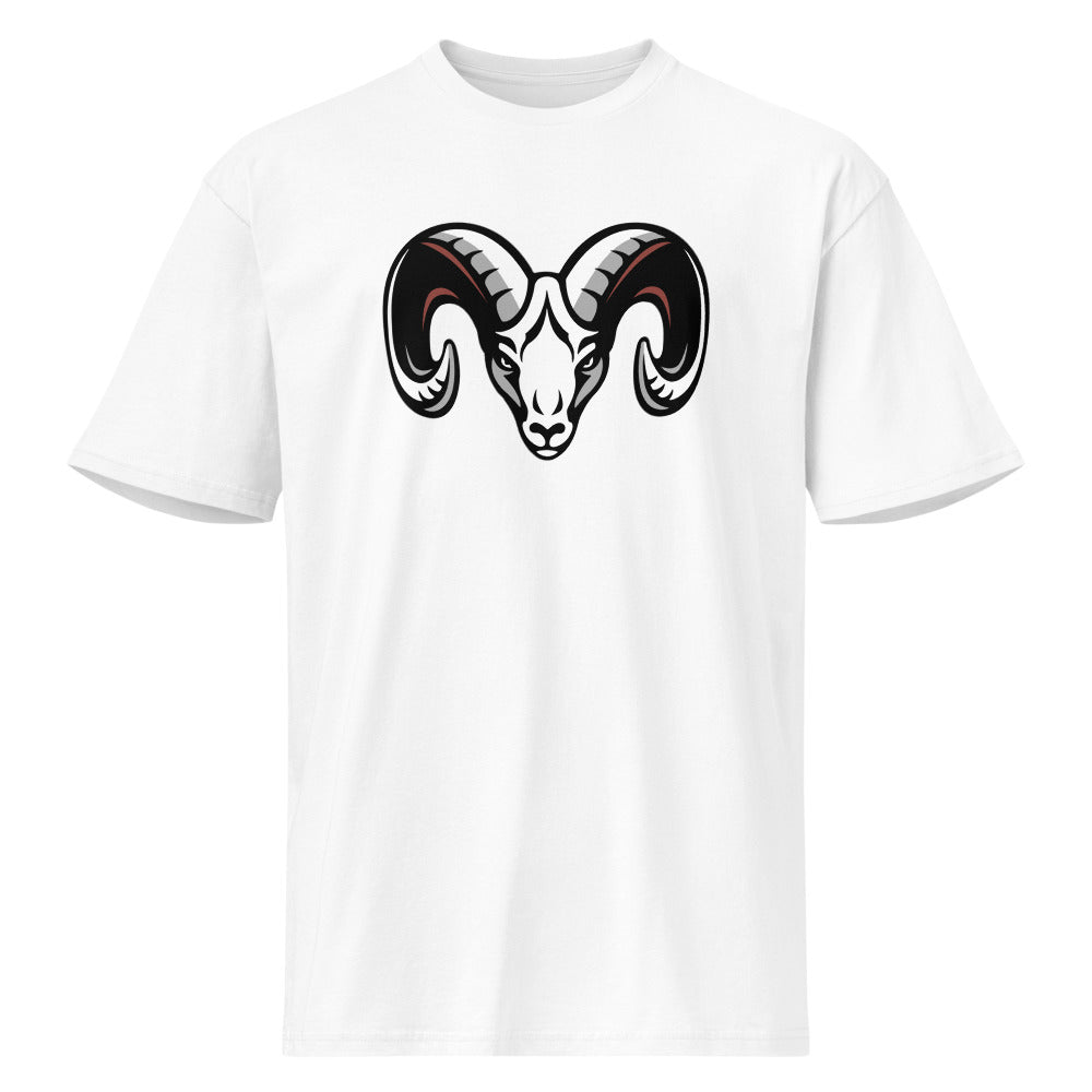 Faith Academy Design 1 — White