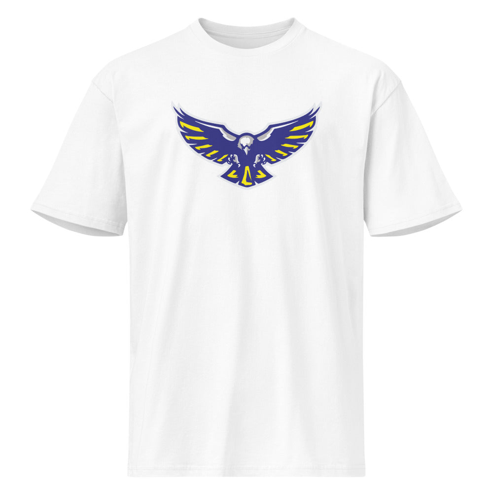 Cold Springs High School Design 1 — White
