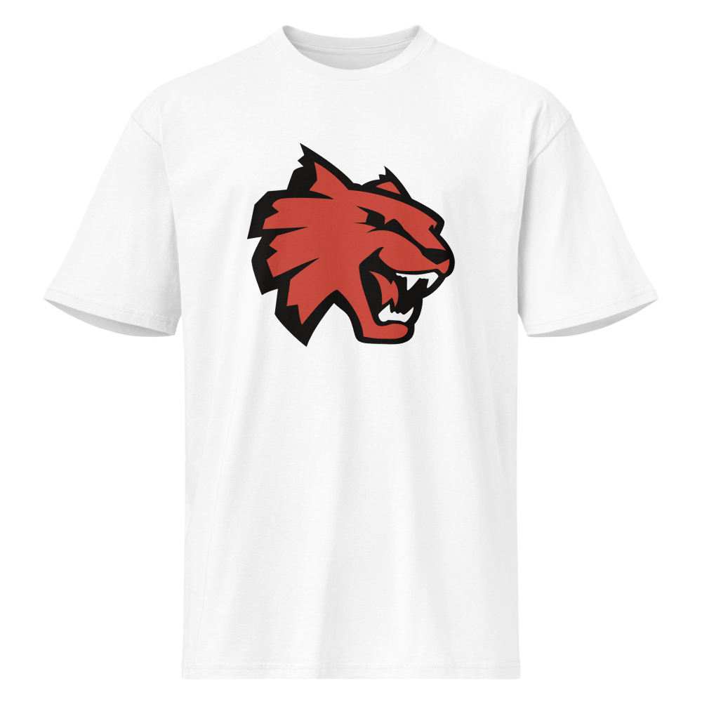 Las Vegas High School Design 1 — White