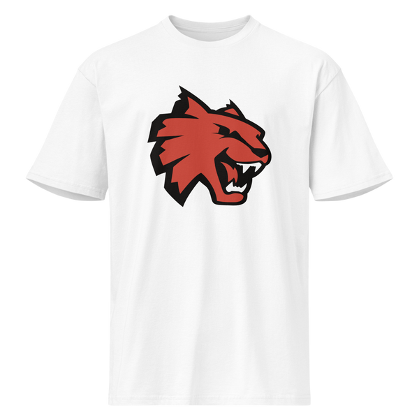 Las Vegas High School Design 1 — White