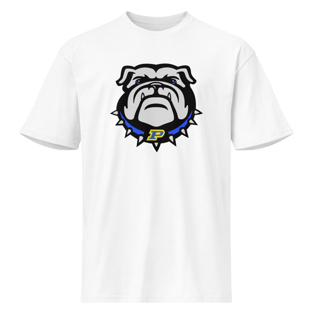 Piedmont High School Design 1 — White